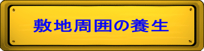 敷地周囲の養生